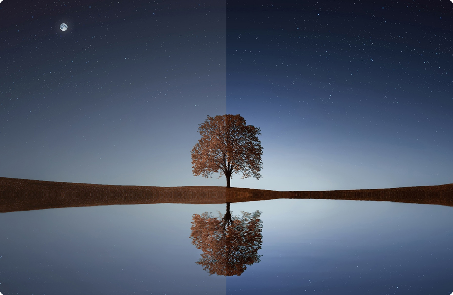 Remarkable Brightness, Contrast, and Color Remarkable Brightness, Contrast, and Color