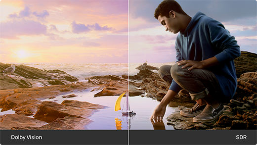 Dolby Vision Certified