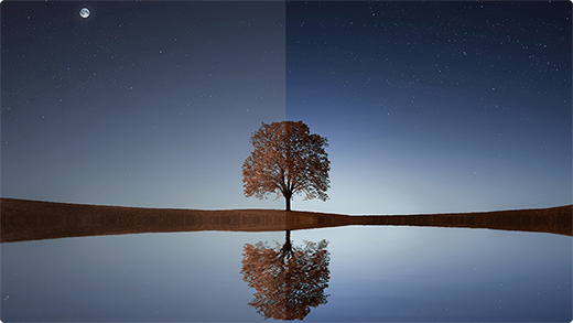 Watch Your Content Come Alive