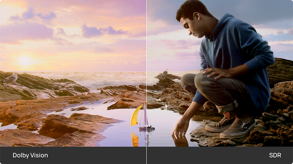 Dolby Vision Certified